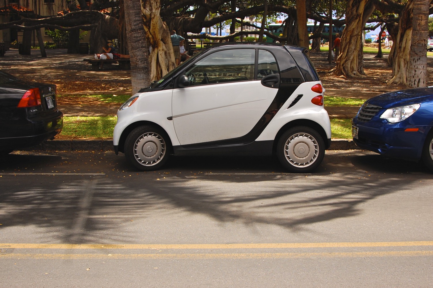smart ass cars Cock college cute
